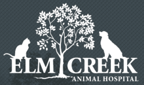 Elm Creek Animal Hospital